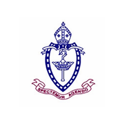 Newcastle Grammar School – HP